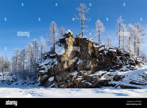 Rock With Trees Winter Landscape In South Yakutia Russia Stock Photo
