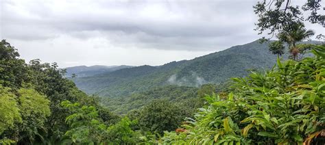 Vrbo El Yunque National Forest Pr Vacation Rentals Houses And More