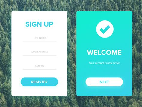 Sign Up And Welcome Interface By Alex On Dribbble