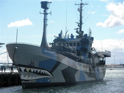 The Whales Navy Sea Shepherd In Williamstown Melbourne