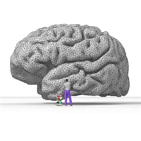 Brain Architecture Lets Talk Science
