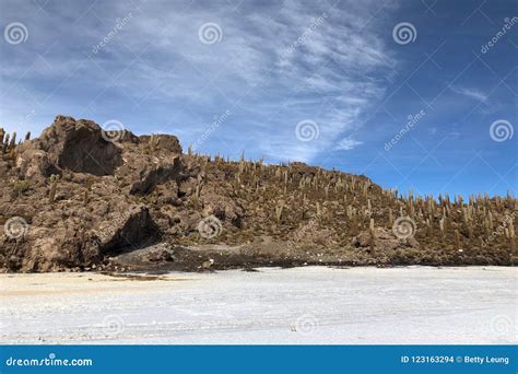 Den Incahuasi ön är En Bergig Och Stenig Utlöpare Av Land Med Många Jätte Kakturs Som Placeras