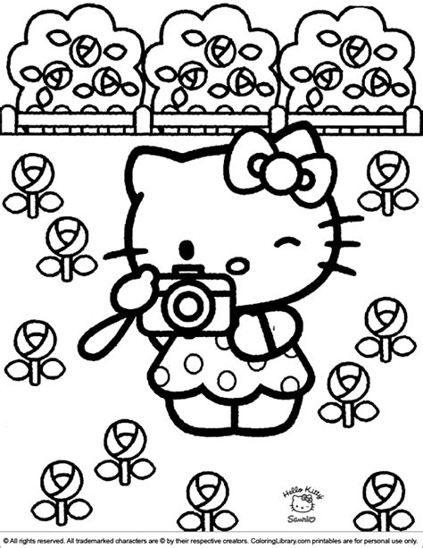 Hello Kitty Color Book Sheet10708 Hello Kitty D49