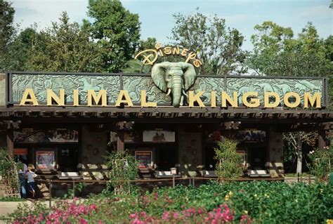 Disney World Animal Experiences Worth The Extra Cost