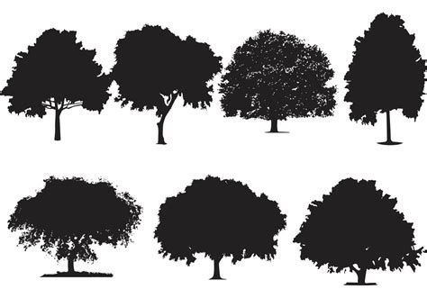 Download Free 13359 Svg Tree Line Silhouette Svg Free File For Free