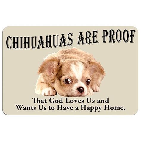 Unique chihuahua quote stickers featuring millions of original designs created and sold by independent artists. 292 best sweet and cute chihuahuas images on Pinterest | Chihuahua dogs, Chihuahua and Chihuahuas