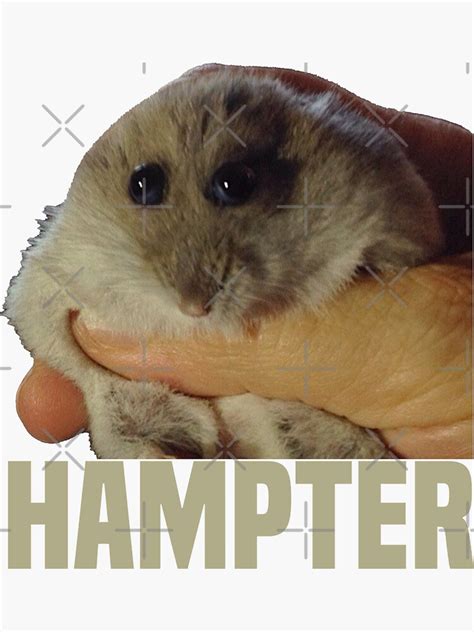 Hampter Meme  Funny Hamster Sticker For Sale By Davidesimon