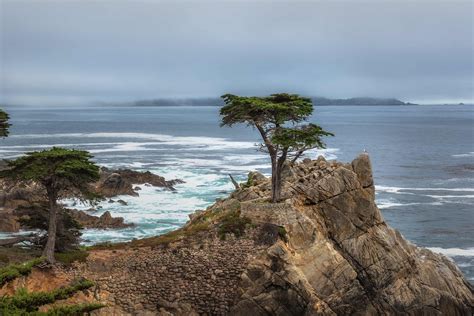 Visiting The Lone Cypress Tree