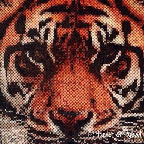 Tiger Perler By Perlerislife On Deviantart En Av Vrogue Co