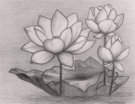 How To Draw A Flower 45 Easy Flower Drawings For Beginners