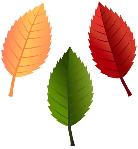 Fall Leaves Fall Leaf Clipart No Background Free Clipart Images Clip