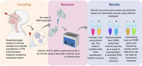 Frontiers Optimization And Clinical Validation Of Colorimetric