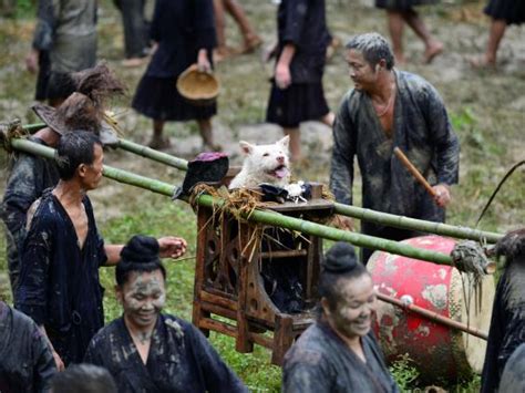 Dog Carrying Day Chinese Village Celebrates Annual Tradition By