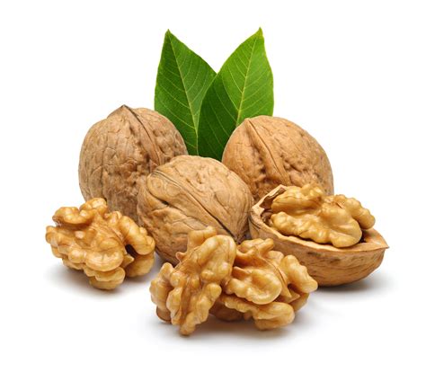 Learn About Walnuts And Their Benefits 2 Walnut Recipes Included