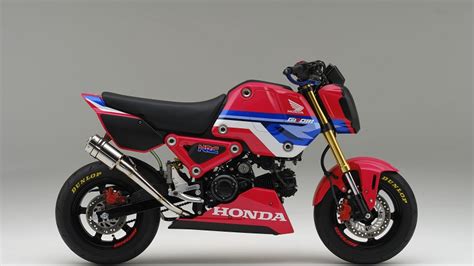 Meskipun mini namun larinya juga ngebut sob. Honda Grom HRC, Motor Mini Yang Siap Balapan! - Moladin