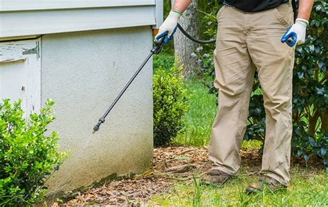 Get rid of ants, roaches, spiders home pest control plans for las vegas/mesquite, nv & dallas/fort worth, tx. Residential Pest Control | Bug Head Services Texas Homes