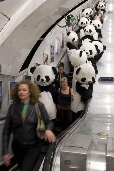 Panda Monium On The Tube 108 Pandas Go Wild In London London