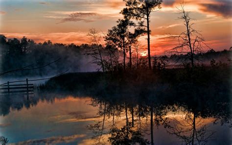 Sunrise Mist Trees Swamp Reflection Nature Landscape