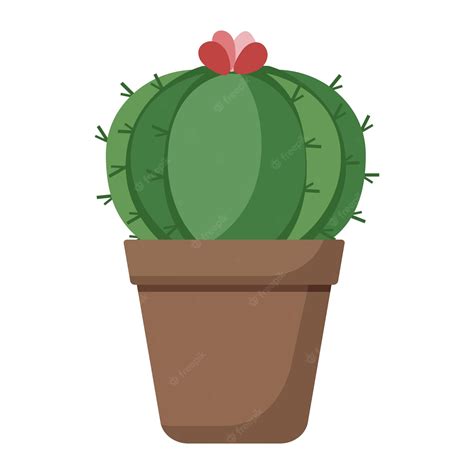 Premium Vector Cactus Pot