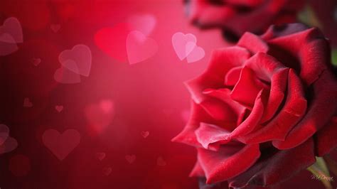 78 Valentine S Day Wallpapers On Wallpapersafari
