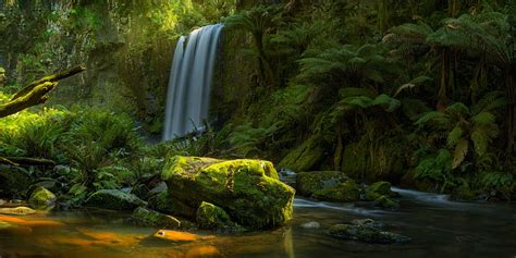 Waterfalls Waterfall Australia Fern Forest Moss Rainforest
