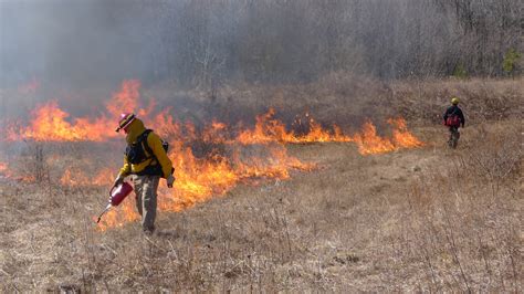 Prescribed Burning Strategy Does Not Protect Lives And Homes