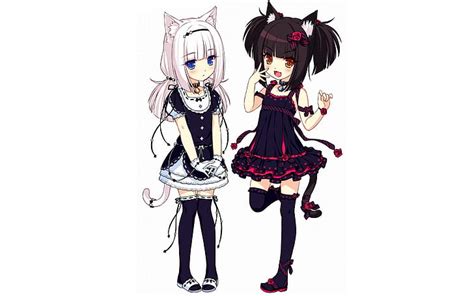 Hd Wallpaper Loli Anime Animal Ears Anime Girls Neko Para Cat