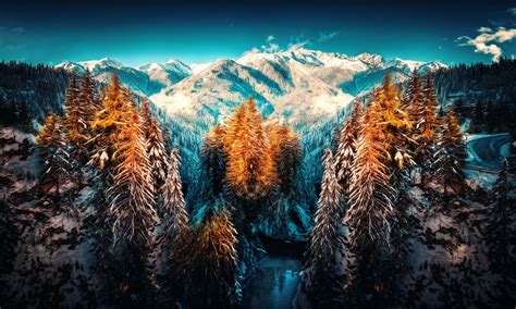 Snow Landscape Mountains Trees Forest Wallpaper