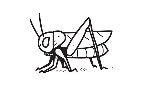 A Cricket On The Ground Illustration Colorless Cartoon For Drawing And