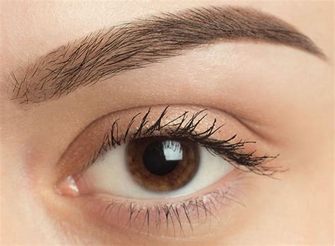 Both hair loss medications work differently. Eyebrow Hair Transplant in Dubai — the Best Surgical Hair ...