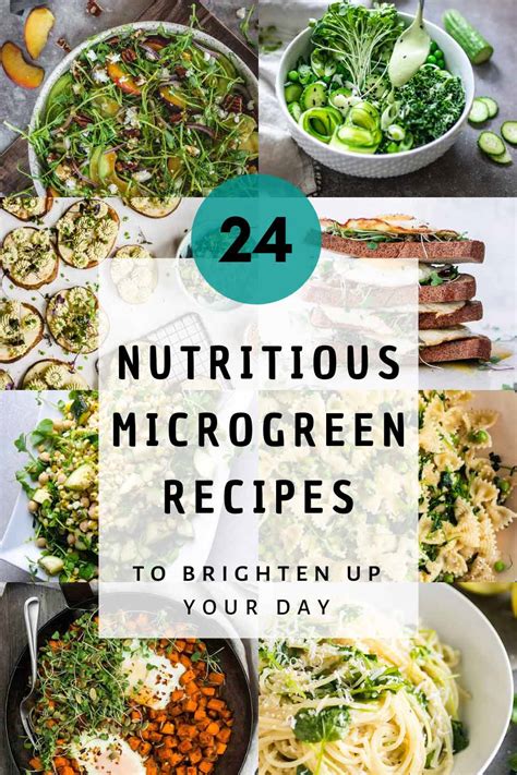 24 Nutritious Microgreen Recipes To Brighten Up Your Day