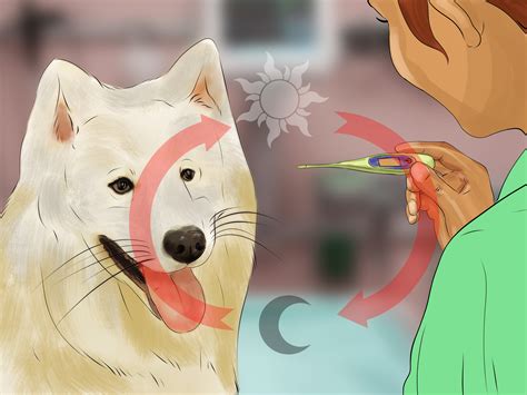 How to treat dog lice since dog lice attach to the dog's hair and multiply there, it is important to get rid of the lice as soon as possible. 3 Ways to Treat Fever in Dogs - wikiHow