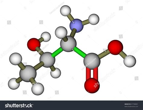 Now two basic subcategories are. Essential Amino Acid Threonine Molecular Structure Stock ...