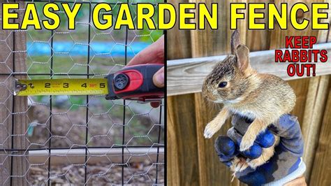 Easy Cheap Diy Garden Fencing Installation Rabbit Proof Youtube