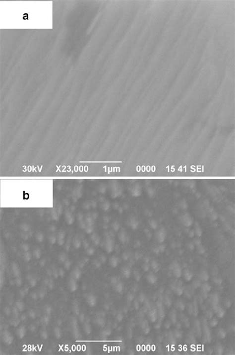 Scanning Electron Micrograph A The Bare Copper Electrode B Modified