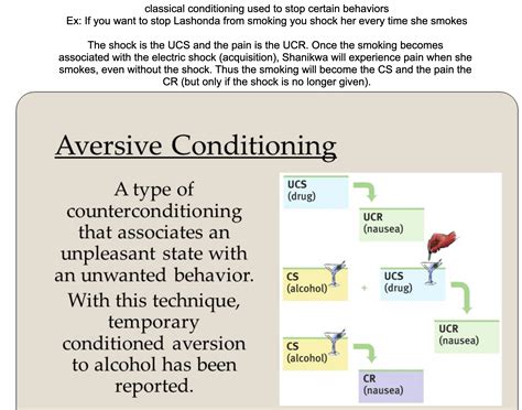 Did this Jack Sparrow P/S anki card rub anyone else the wrong way? : r/Mcat