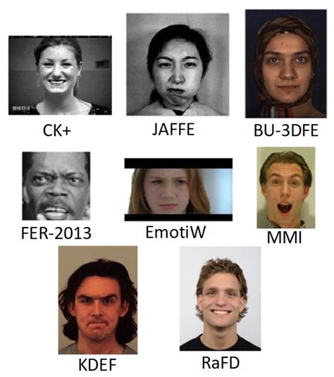 applied sciences free full text facial expression recognition using computer vision a