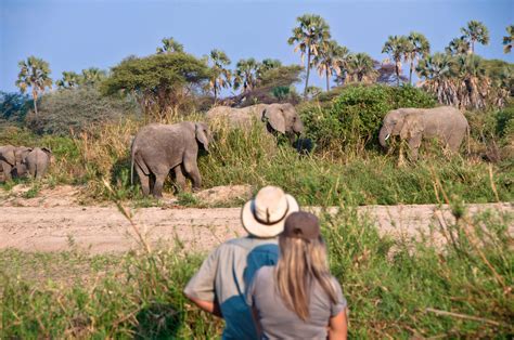 The Best Walking Safaris In Tanzania Expert Africa