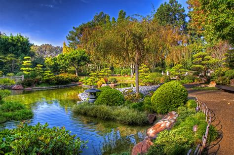 Tapety Earl Burns Miller Japanese California Usa Natura Staw Ogród