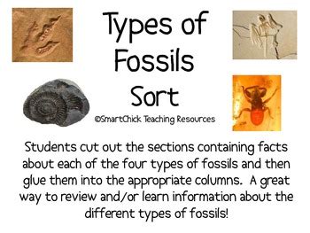 All learners will be able to plan: Four Types of Fossils Sort Packet | 6th grade science ...