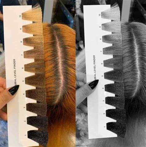 Hack To Determine Hair Color Level Mixing Hair Color Hair Color Wheel