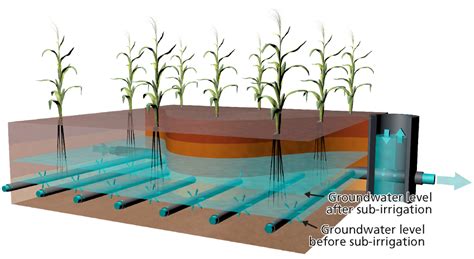 Underground irrigation system reduces water consumption by a quarter ...