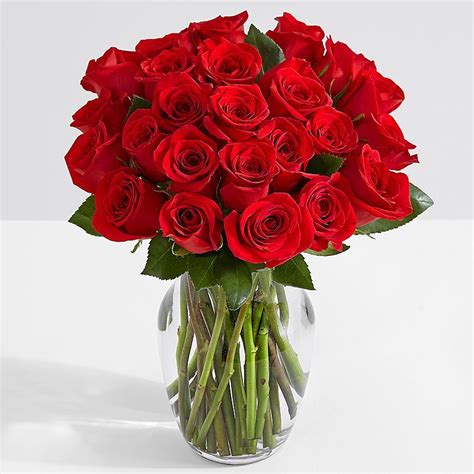 Pure Romance Pure Tradition Pure Red Roses Send Two Dozen Roses To