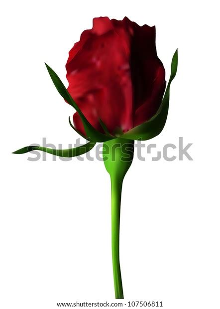 Elegant Red Rose Symbol Love Your Stock Vector Royalty Free 107506811