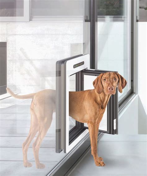 Modern Magnetic Dog Glass Doors