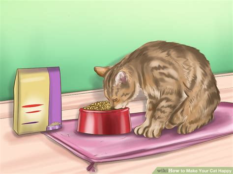 How To Make Your Cat Happy 10 Steps With Pictures Wikihow