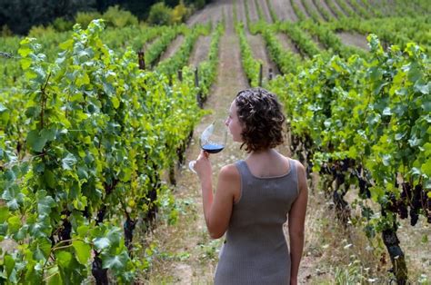 10 Best Wineries In The Willamette Valley To Try In 2023