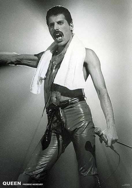 Queen Freddie Mercury Live Poster Woodstock Trading Company