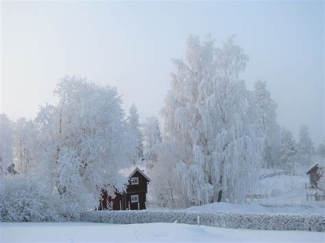 Tallberg Dalarna Sweden Winter Scenery Winter Wonderland Snow