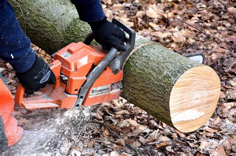 13 of the Best Types of Wood Cutting Tools